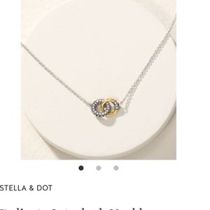Stella&Dot Delicate Interlock Pendant